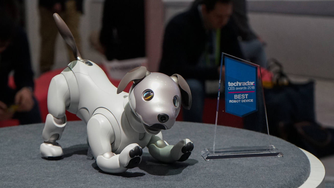 Hund „Aibo“