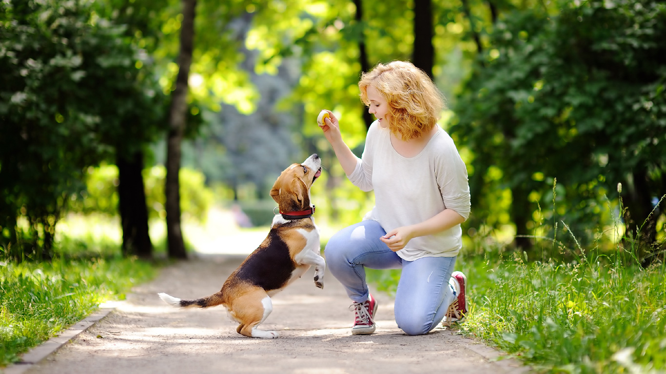 Ein Leben mit Hund?