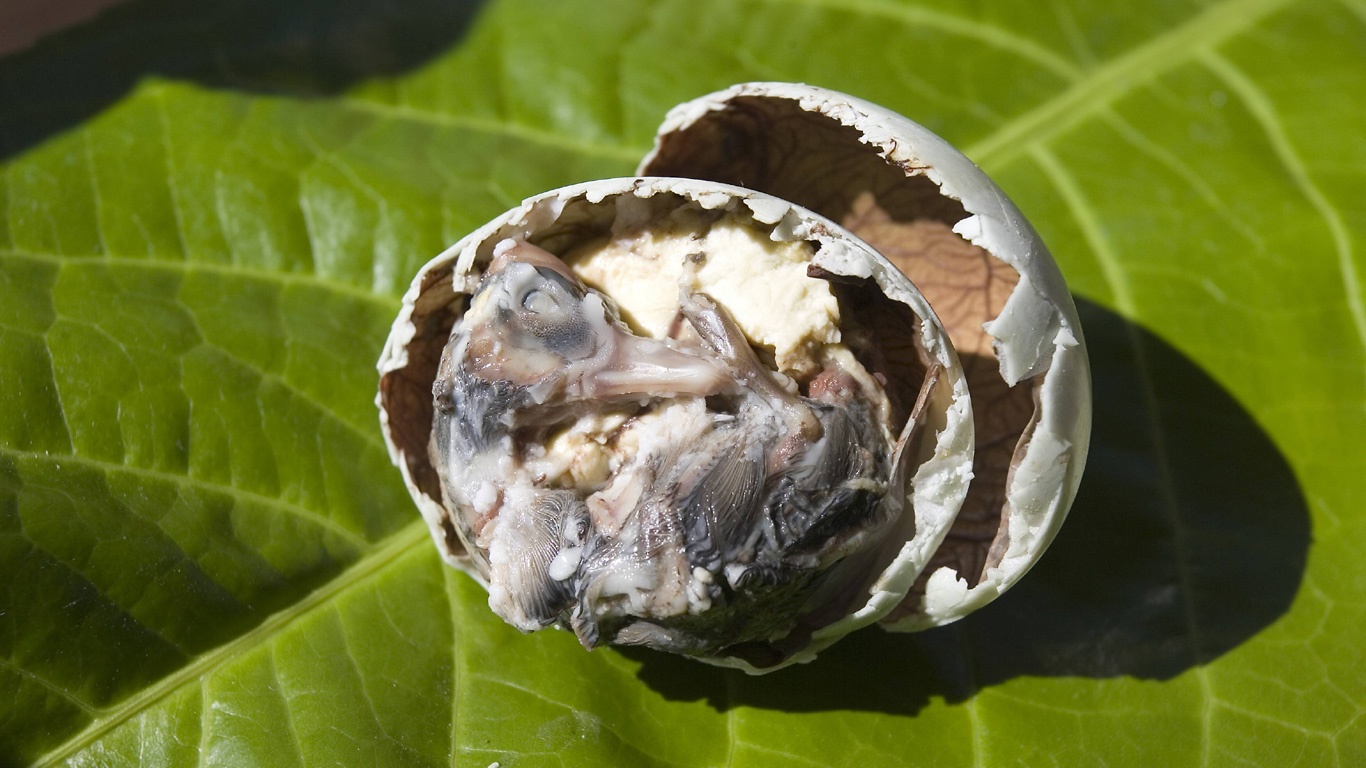 Südostasien: Balut