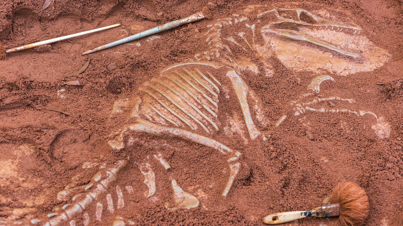 Die Geschichte der Dinosaurier