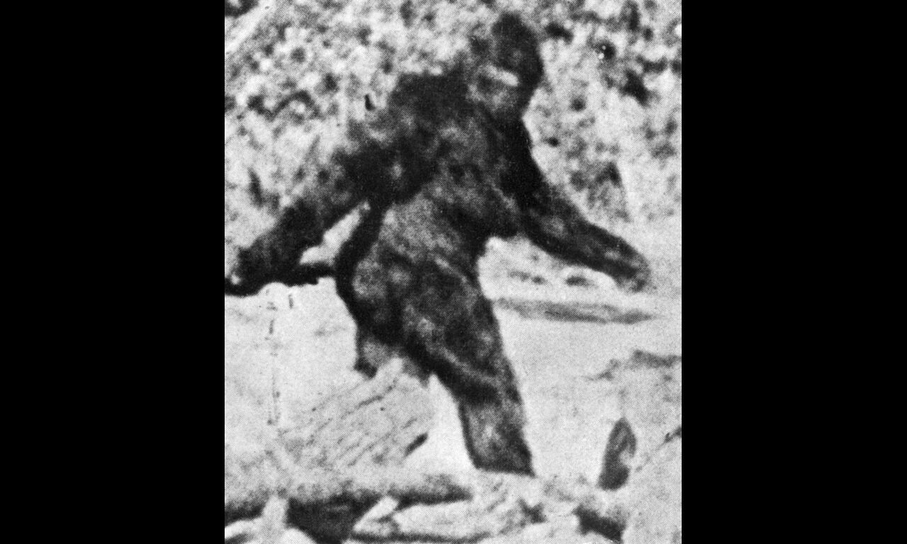 Geheimer Hüter der Rocky Mountains?