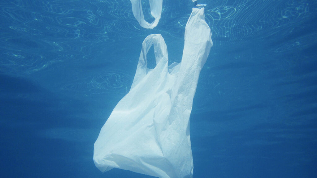 Wie viel Mikroplastik essen wir eigentlich?