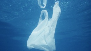 Wie viel Mikroplastik essen wir eigentlich?