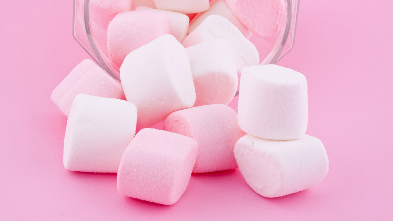 Der Marshmallow-Test