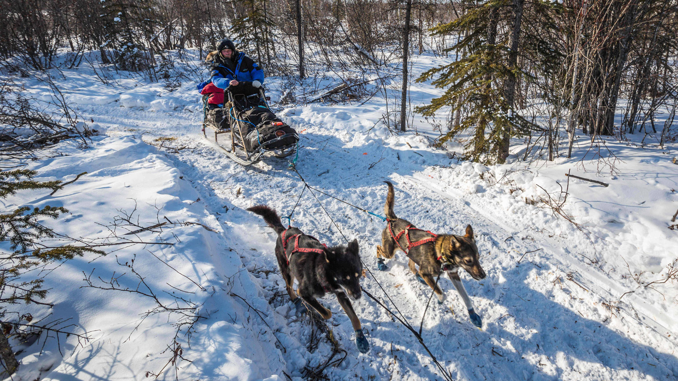 Der Iditarod Trail