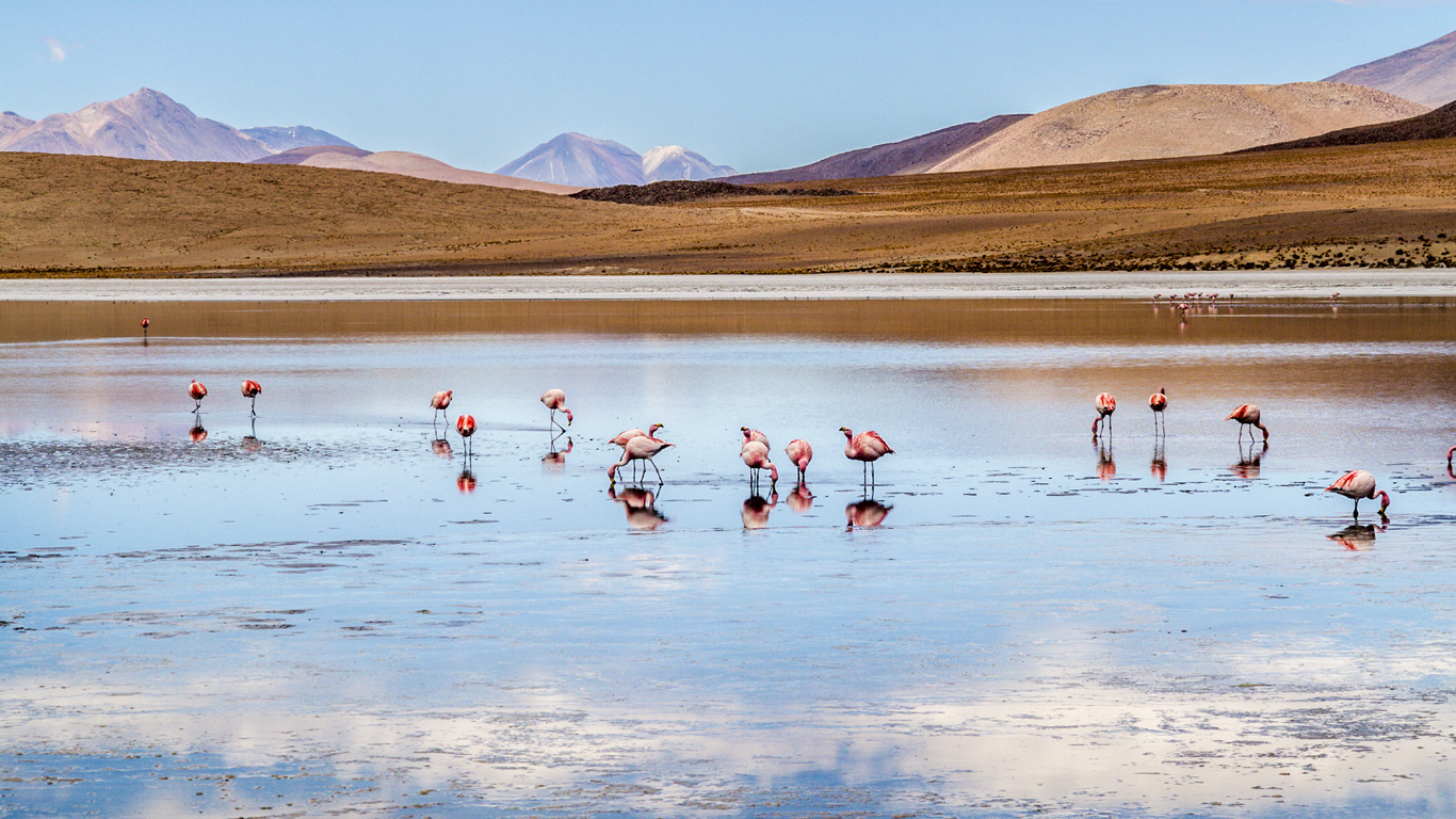 Atacama-Wüste (Chile)