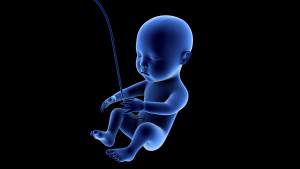 42 unbekannte Chemikalien im Blut von Babys gefunden