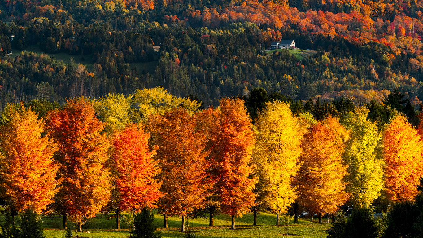 Indian Summer