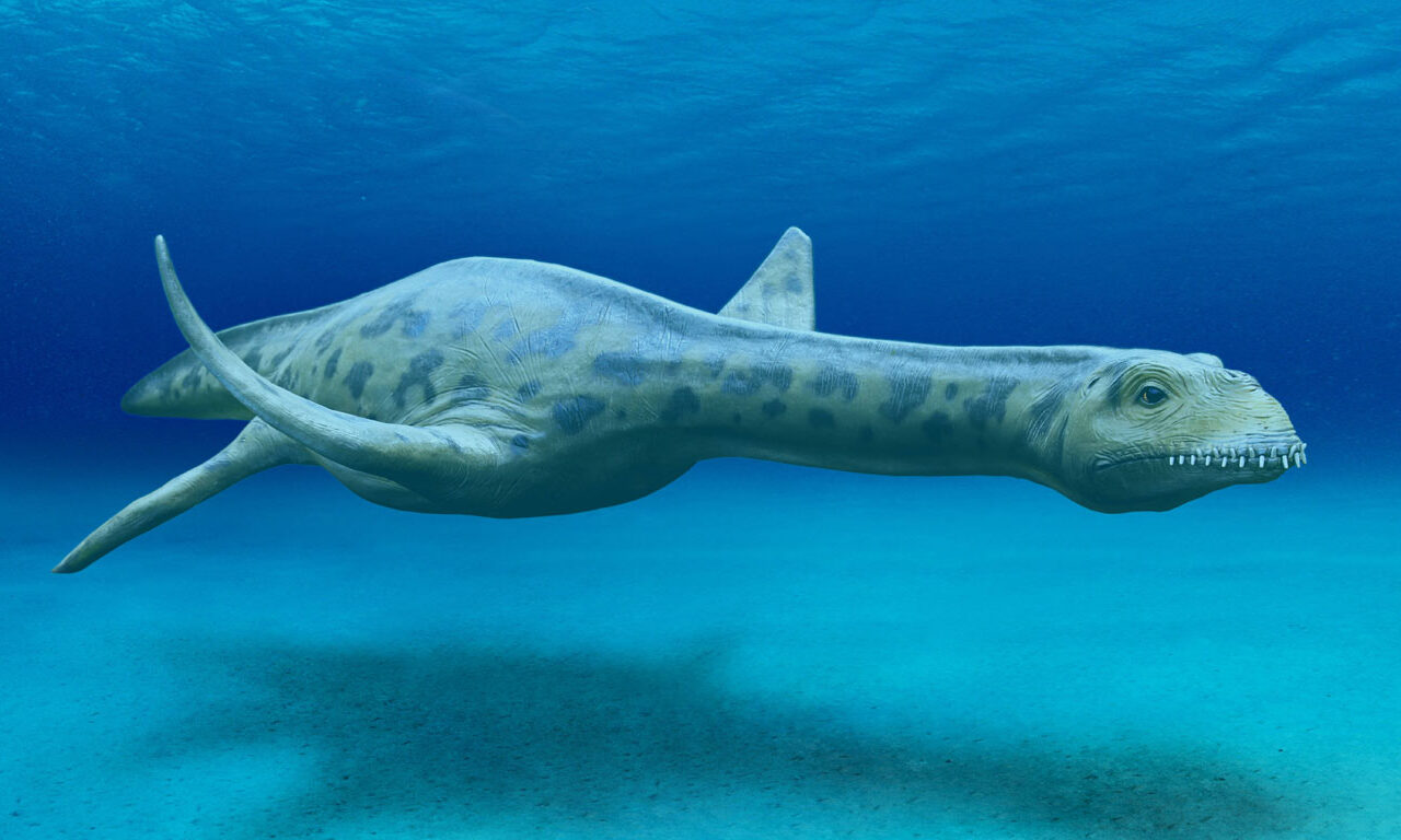 Ist Nessie ein Dino?