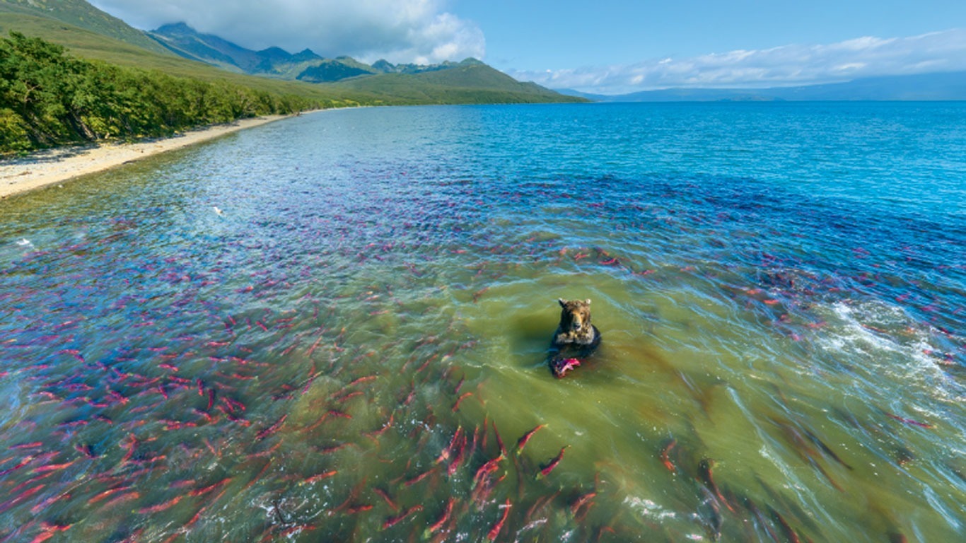 Kurilensee, Russland