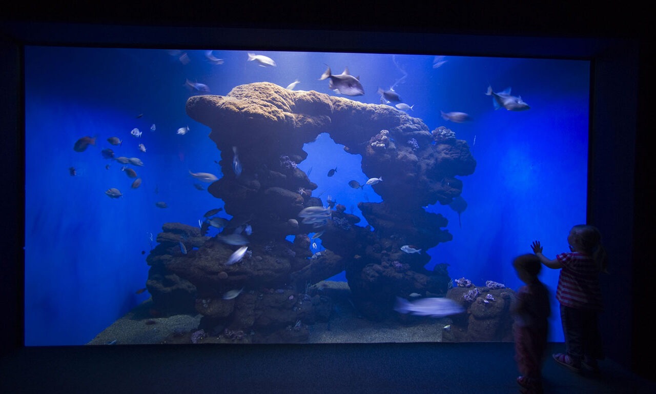 Palma Aquarium