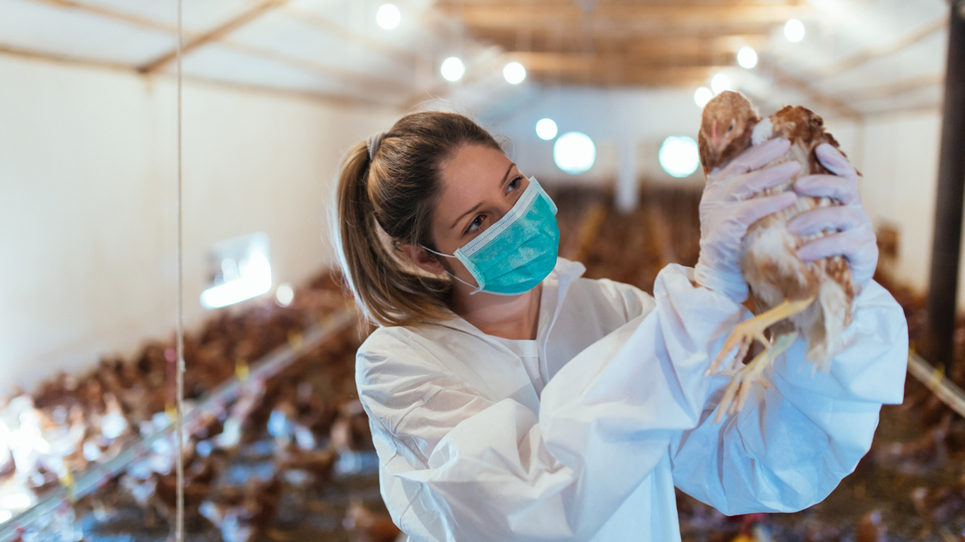 Antibiotika sind ein Muss