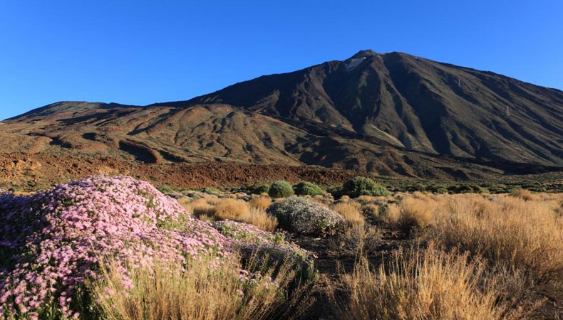 Platz 6: Teneriffa – Themenparks und Teide