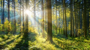Plastik und Nachhaltigkeit: zwei Gegensätze?