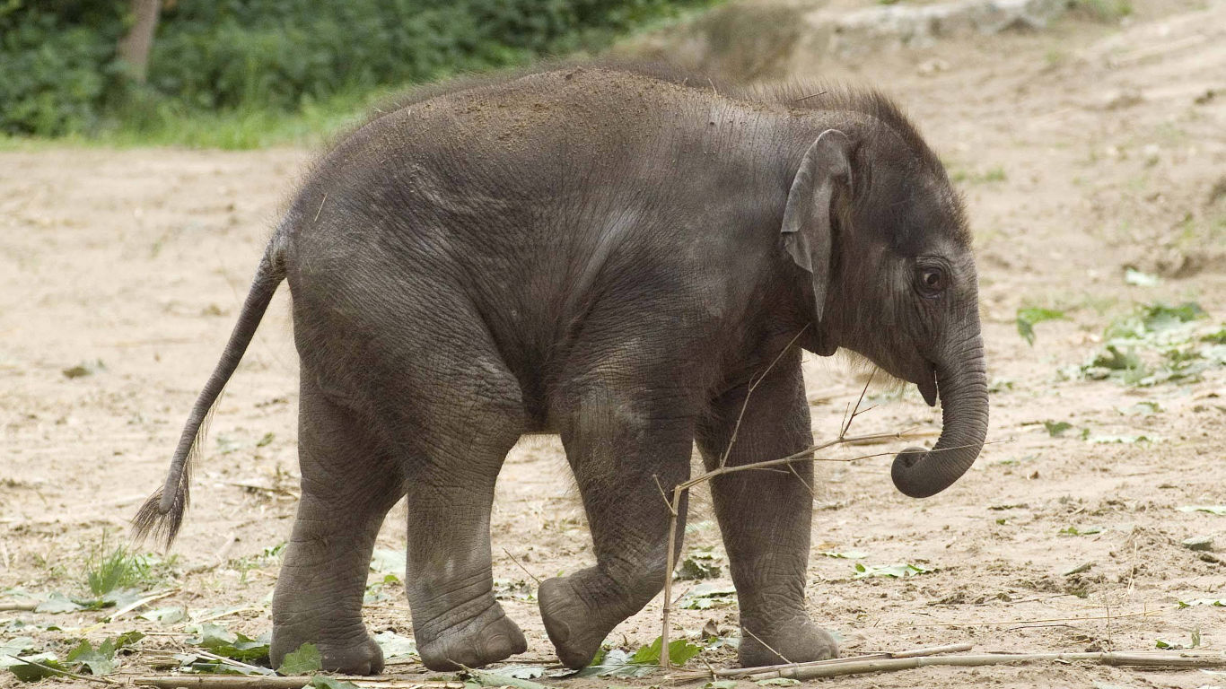 Tierpark Berlin