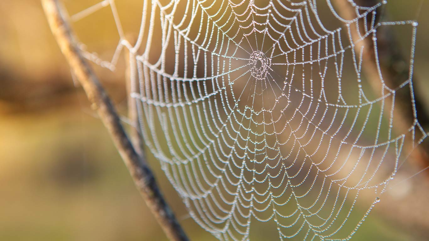 Altweibersommer