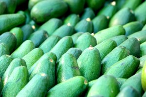 Trendfrucht Avocado – Hype mit Schattenseiten