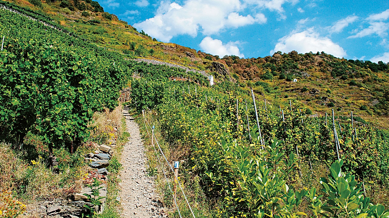 Auf dem Kreuzweg am Bleidenberg