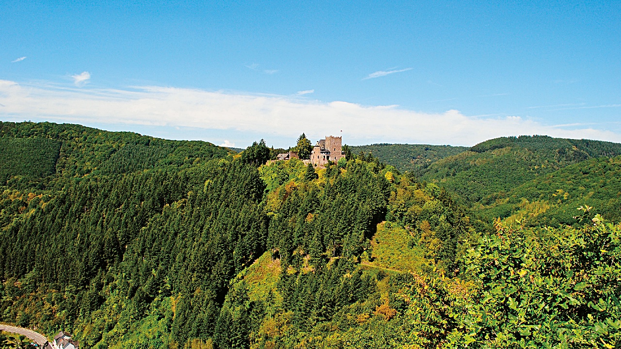 Burg Arras