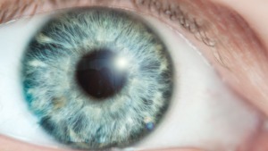 Computer, Smartphone, Tablet – die neuen Gefahren für unsere Augen
