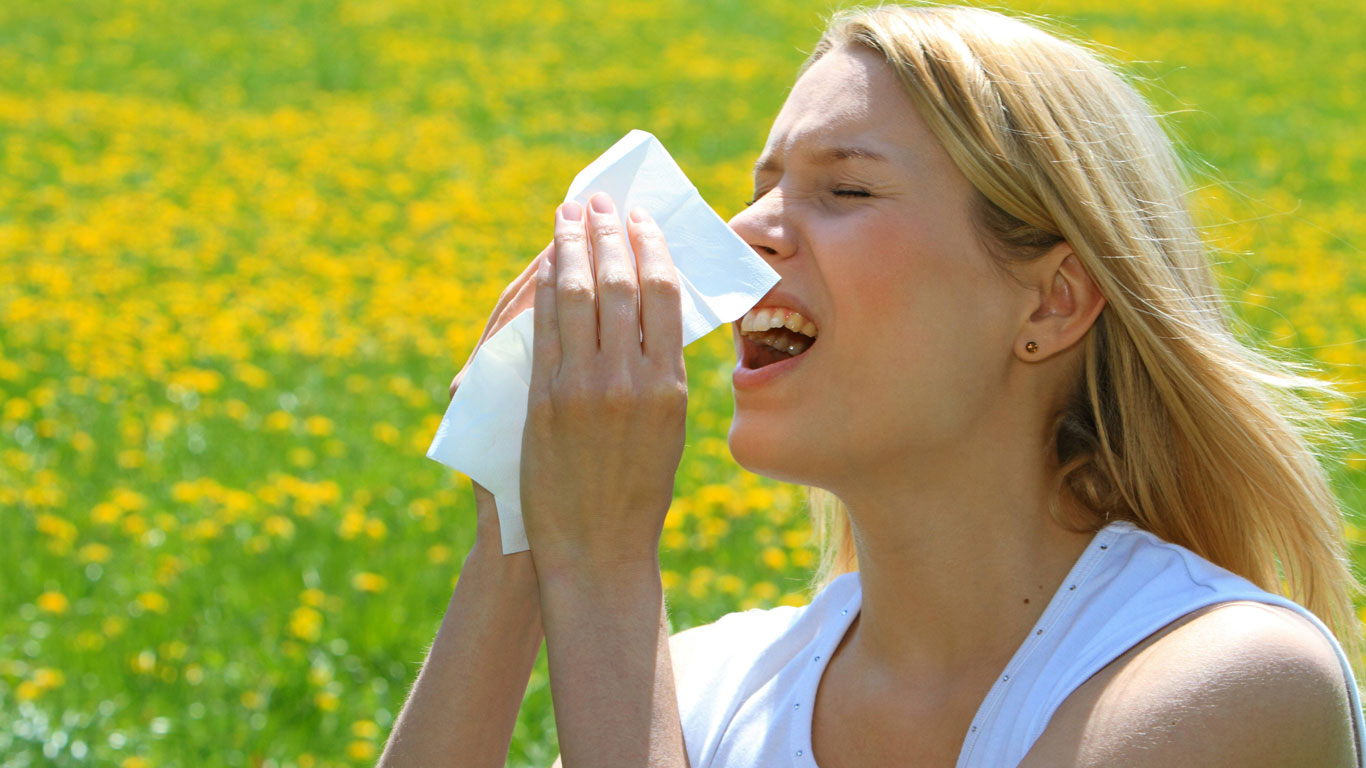 Der Frühling der Allergiker