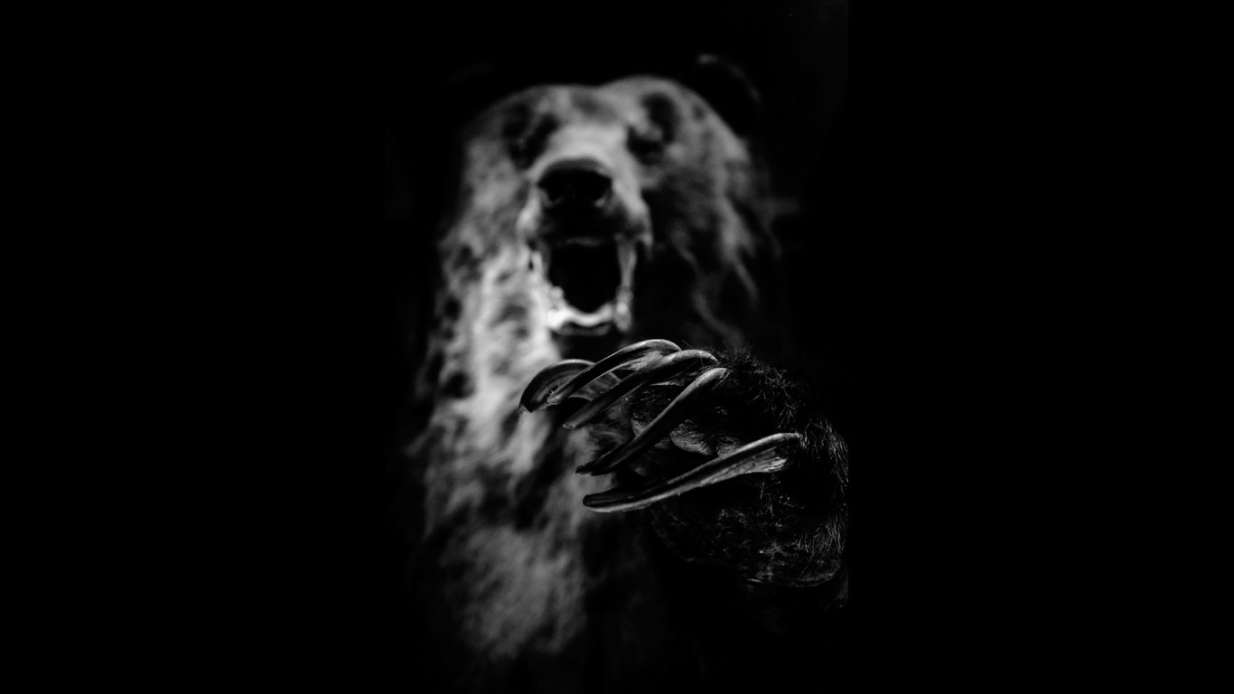 Der Nandi-Bär