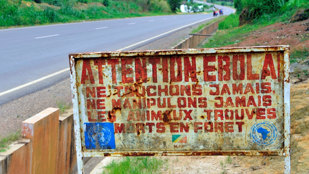 Ebola, 2014/2015 in Westafrika