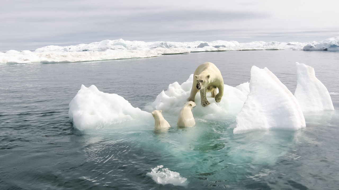 Wird der Klimawandel die Erde zerstören?