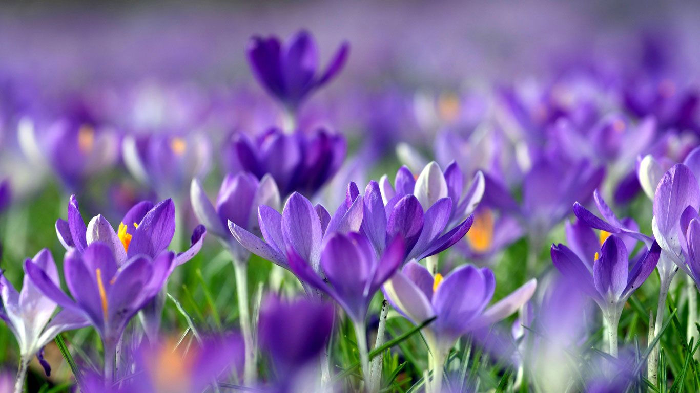 Explosion der Natur