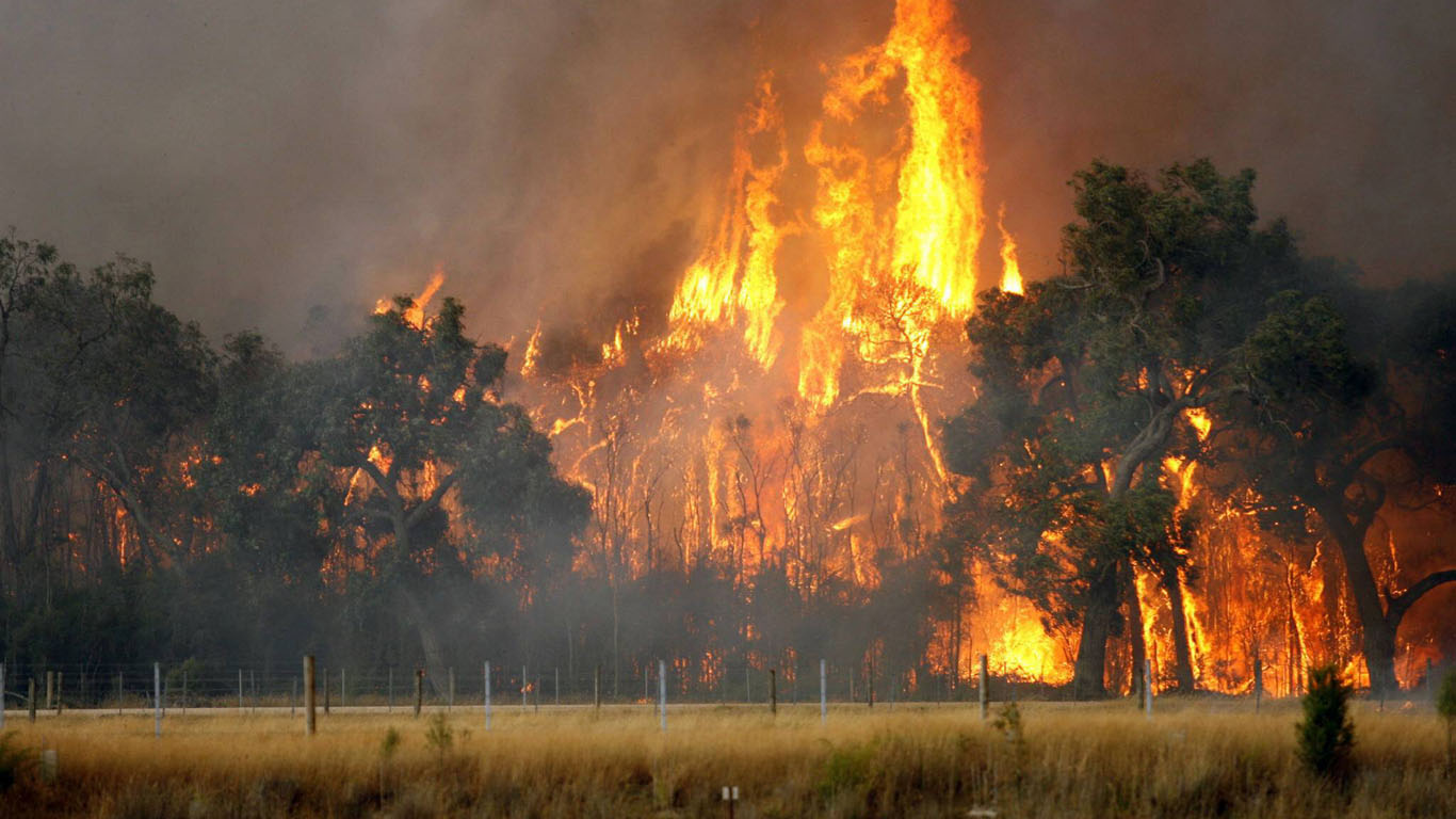 Februar 2009: Verheerende Buschfeuer in Australien