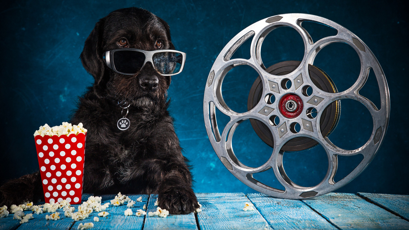 Filmhunde