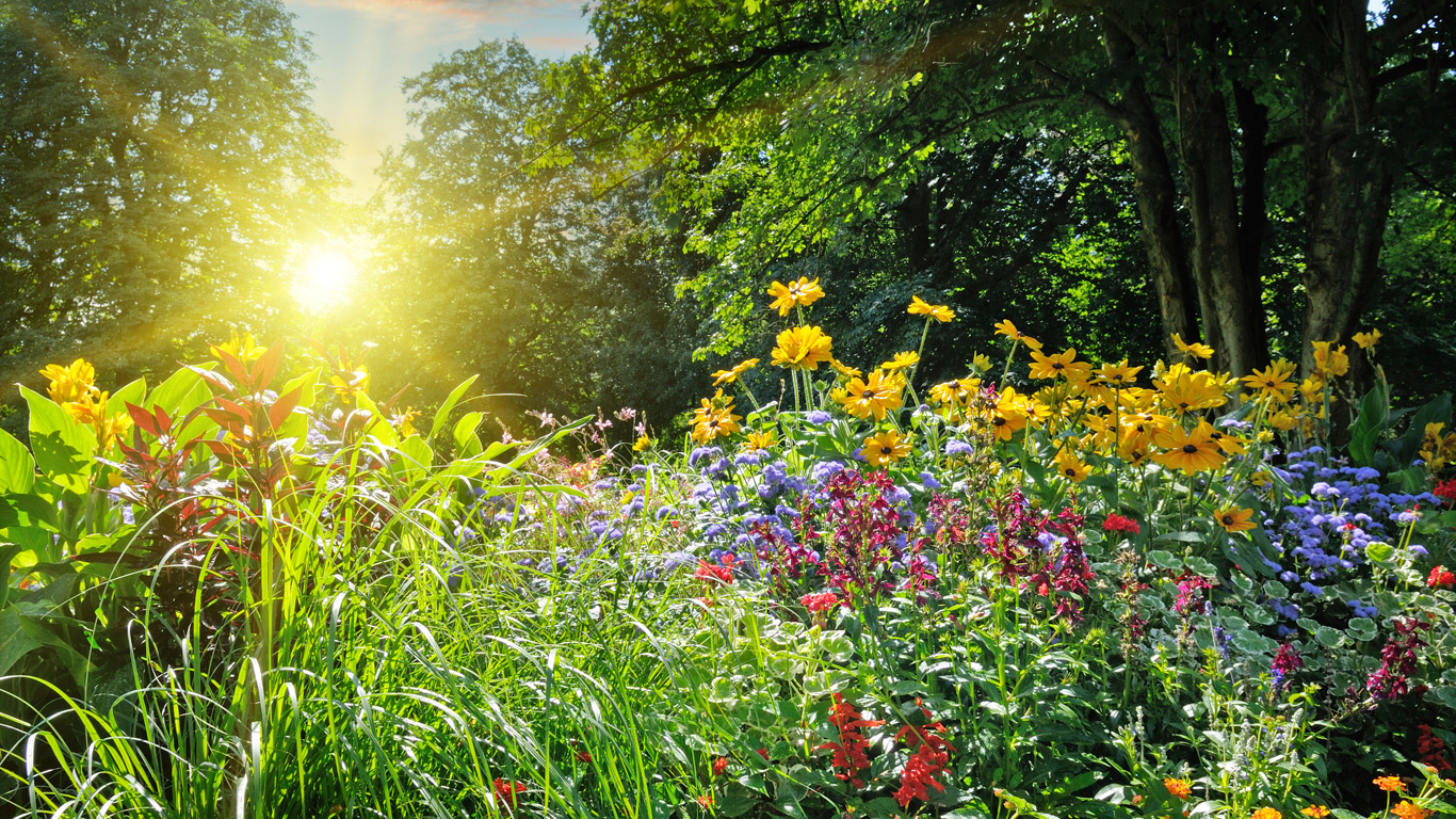 Der Frühling als Fluch und Segen zugleich