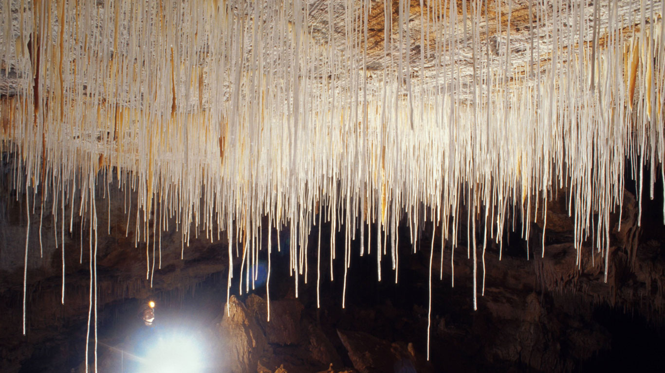 Glühwürmchenhöhle, Neuseeland