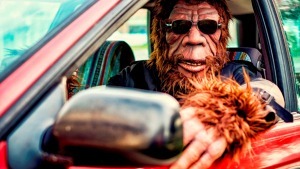 Gorillas müssen vorne sitzen! Die 10 kuriosesten Verkehrsregeln