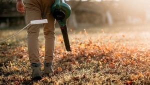 Alljährliches Herbstärgernis: Die nervigen Laubbläser sind los