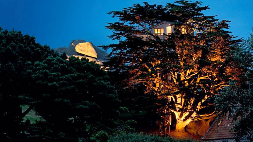 Luxury trees: Baumschlösser in Frankreich