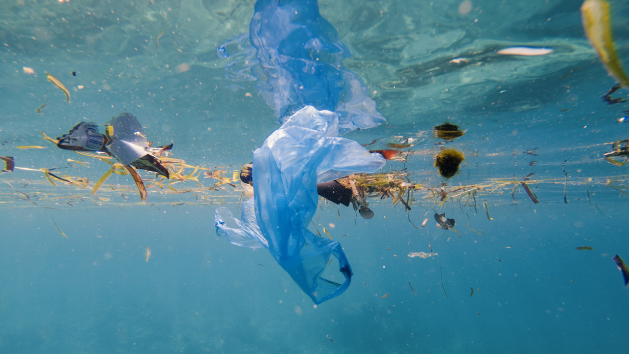 Wie entwickelt sich die Anzahl der Plastikteile im Meer?