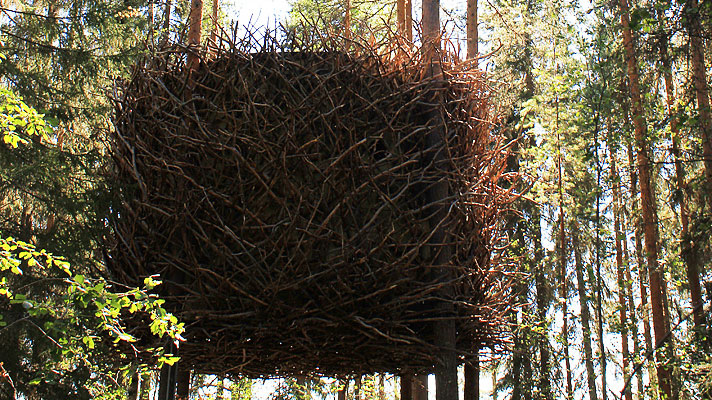 Mitten im Vogelnest: „Bird's Nest“