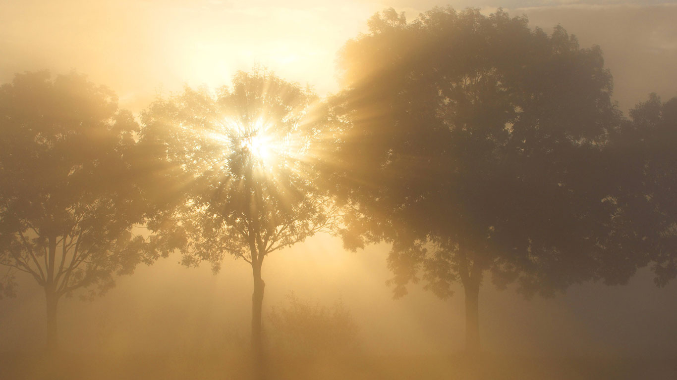 Nebel richtig lesen