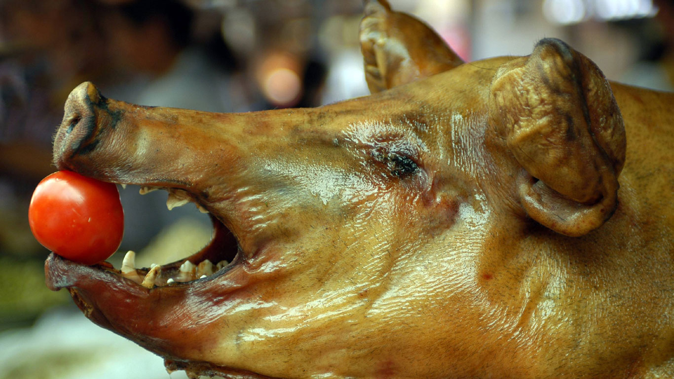 Schweinekopf auf dem Tisch – Lettland