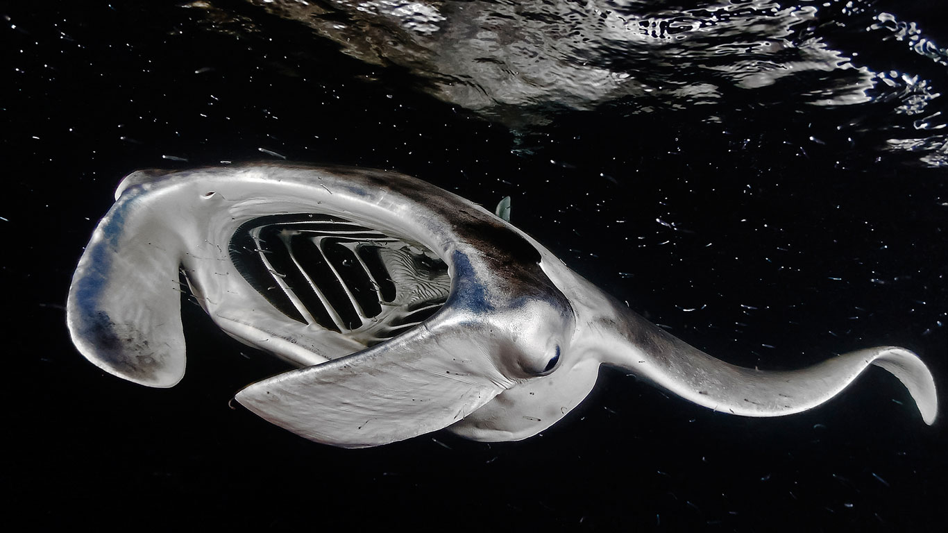 Star Wars unter Wasser