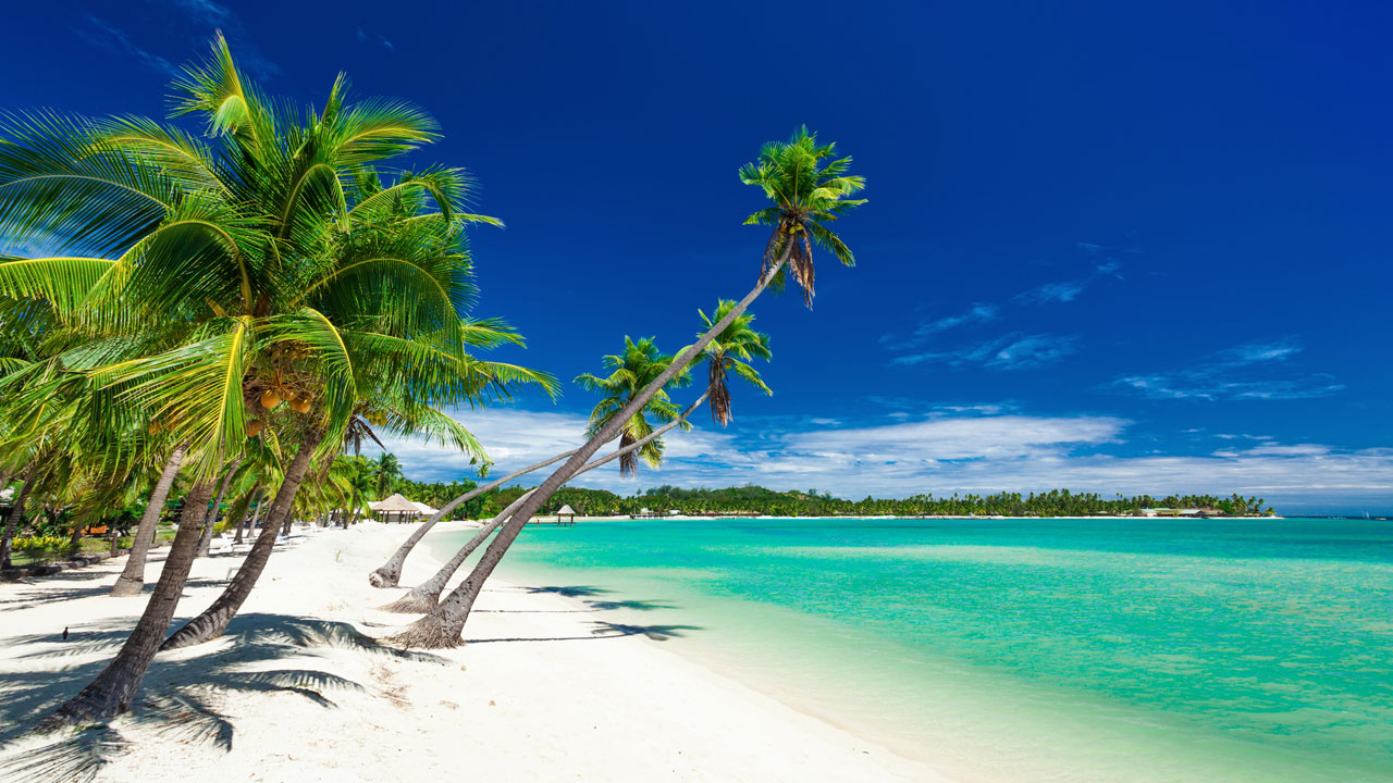 Die Insel ruft