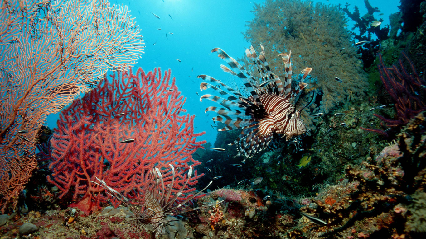 Mauritius