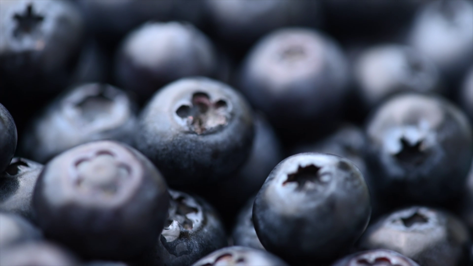 Heidelbeeren heilen das Gehirn