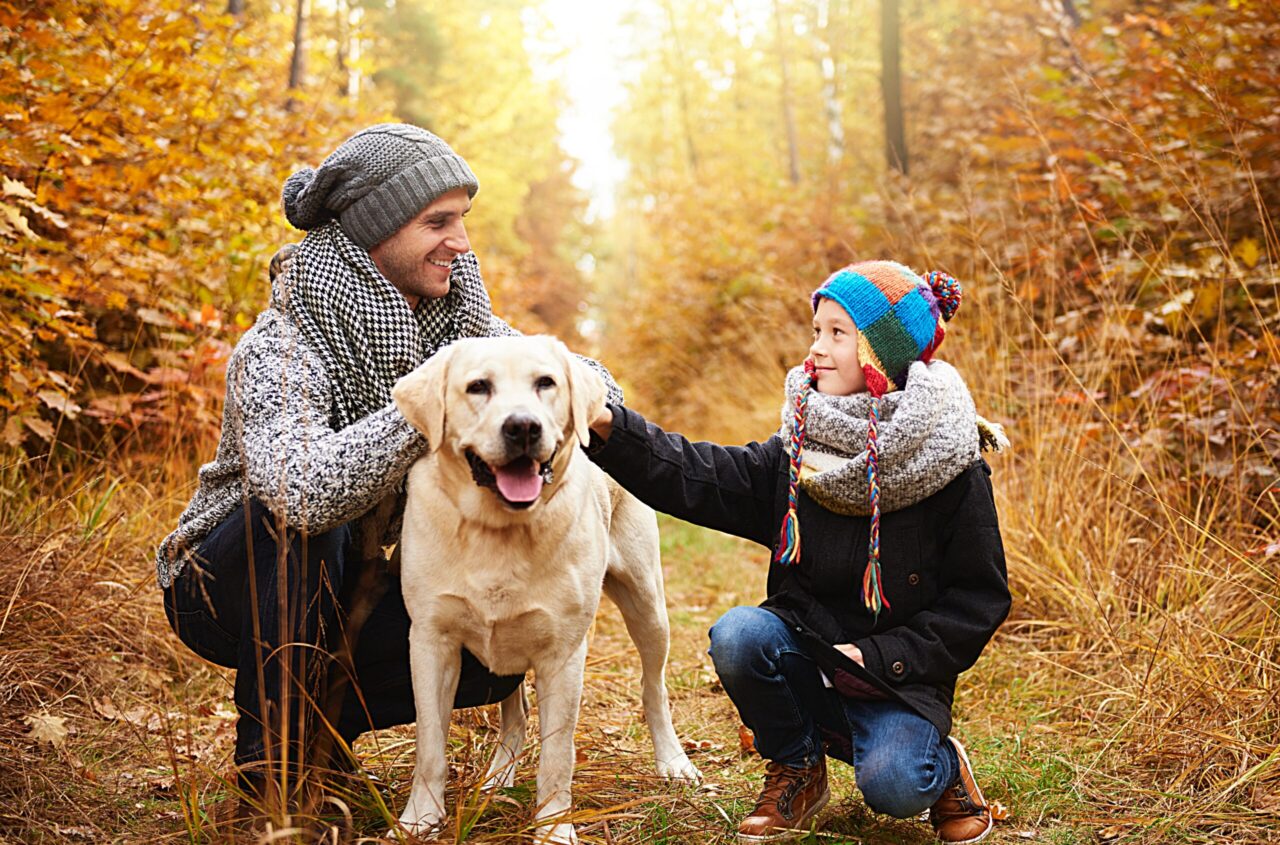 Mit Hund im Wald