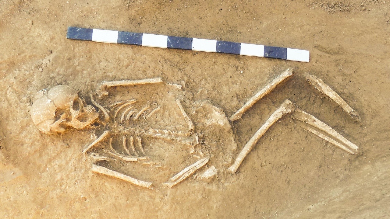 Weiterentwicklung aus Afrika