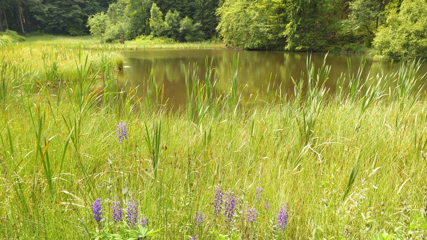 Unendliche Tiefen – Frau-Holle-Teich; Werra-Meißner-Kreis (Hessen)
