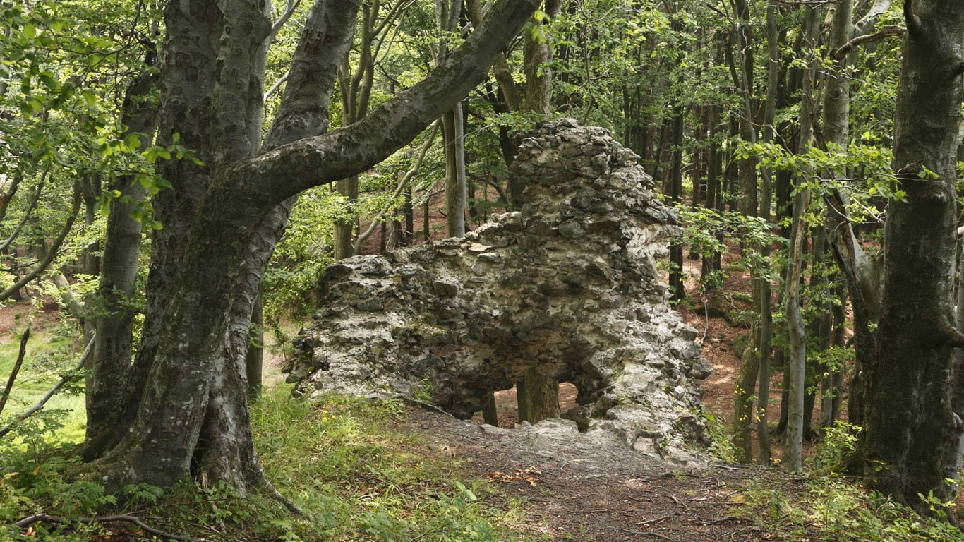 Der Wald des Goldes – Frauenstein, Oberpfälzer Wald (Bayern)