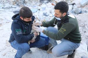 Nach dem Erdbeben in Syrien: Lebensrettende Hilfe für hunderte von Tieren