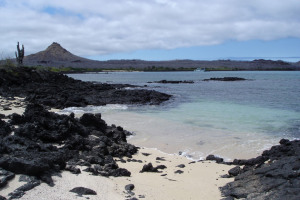 Galápagos – die Arche Noah im Pazifik